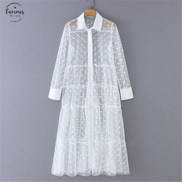 

2020 see through women polka dot mesh dress fashion long sleeve lapel shirts dress ladies long dress fashion women cover ups, Black;gray