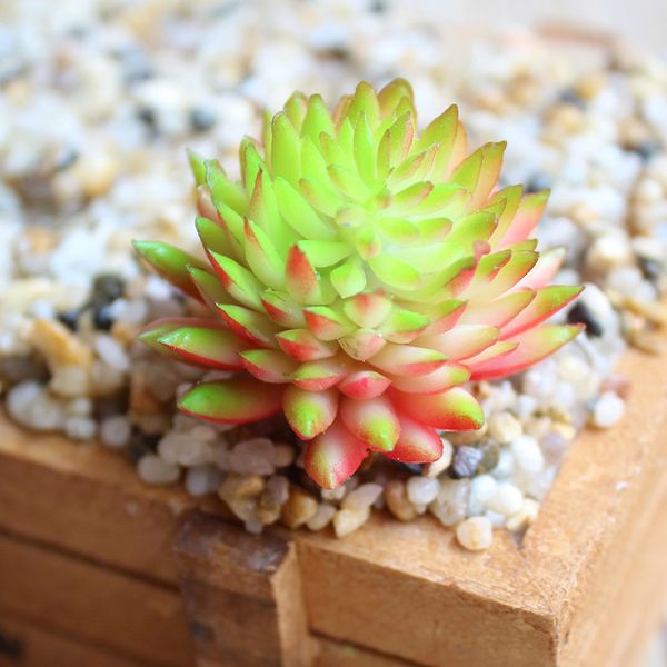 

5pcs garden home decor medium green series simulation succulents artificial flowers diy ornaments artificial succulents plants