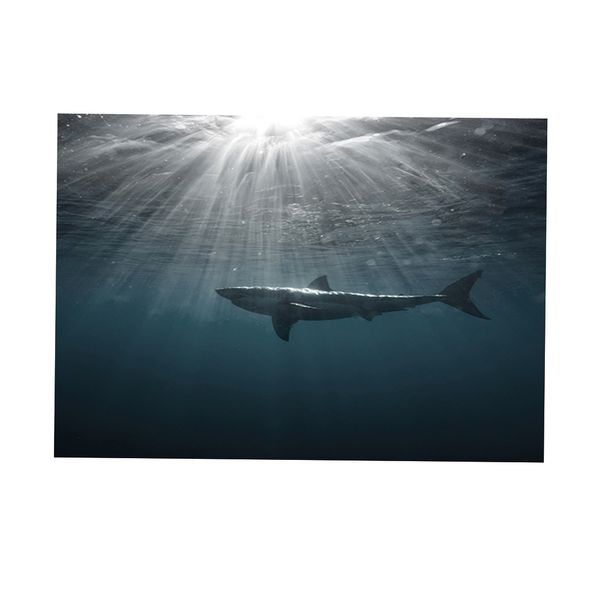 

high glossy dramatic 3d print adhesive shark picture backdrop for fish tank