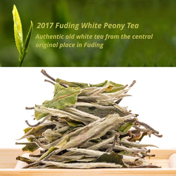 

Китайский Bai Mu Dan White Tea Yuqian Второй класс, Белый пион белый чай, Fuding Бай Ча Бай Мудан