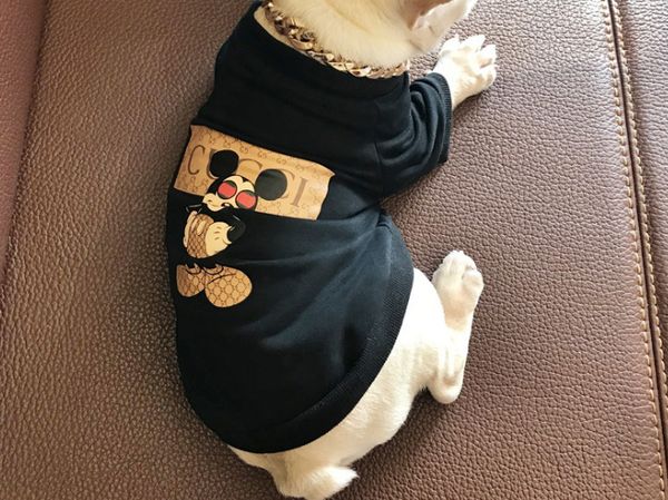 

Dog Cat Apparel Tide Brand Teddy Puppy Apparel Pet Supplies Autumn Warm Outwears Hoodies Printed Sweater Clothing
