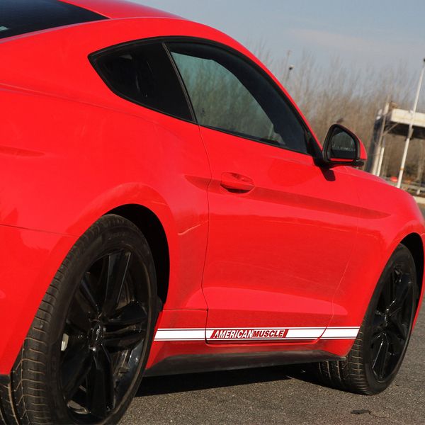 American Muscle Rally Racing Stripes Vinyl Decal Graphic Body Door