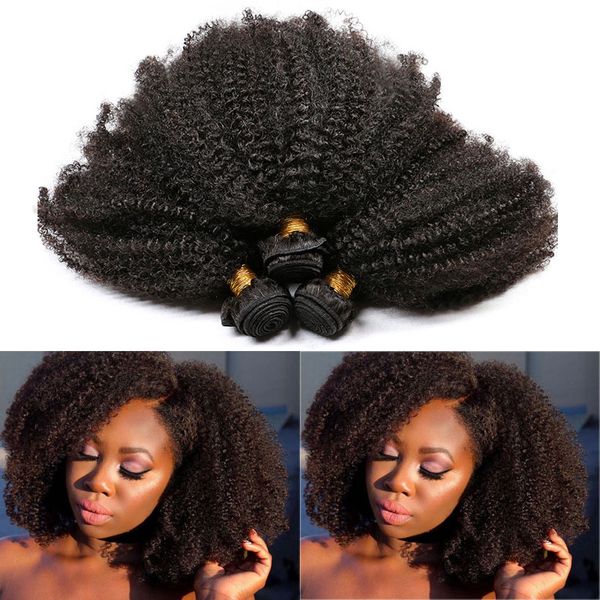 3 Bundles Brazilain Hair Bundles Afro Kinky Curly Hair Weave 100