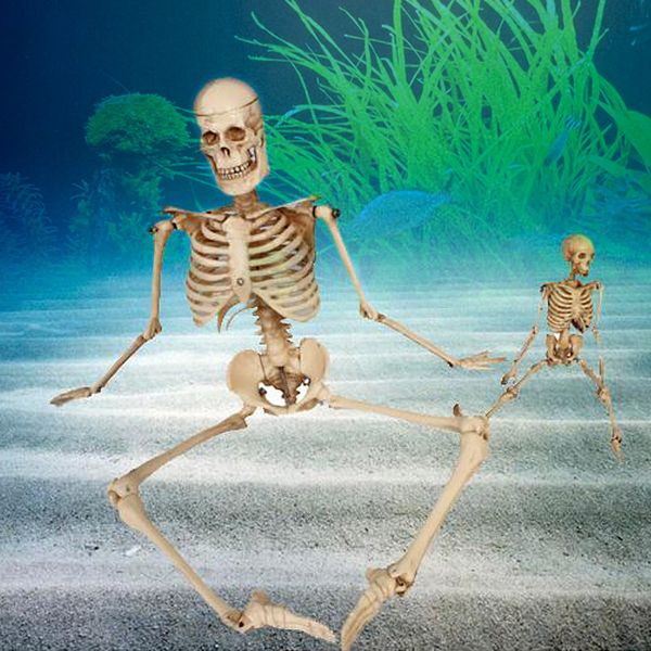 

1pcs aquarium human skeleton resin fish tank skull skeleton resin ornament reptile tank fish aquarium decoration