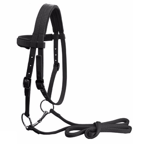 

adjustable horse riding equipment halter horse bridle with bit and rein belt for horse equestrian accessories soft thicken large