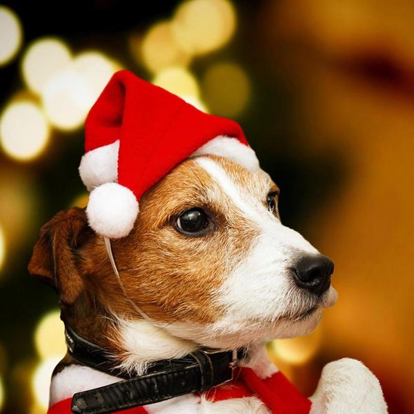 Acheter Hiver Red Dog Père Noël Noël Chapeau Réchauffez Chiot Chapeau Avec Boule En Peluche Tissu Couvre Chef Pour Les Fournitures De Chiot De Chat De