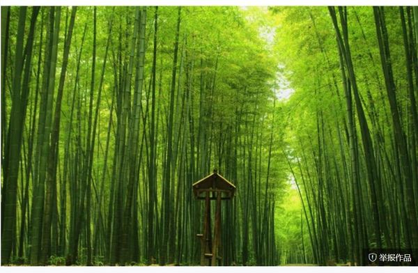 

wallpaper for walls 3 d for living room landscape oil painting background wall