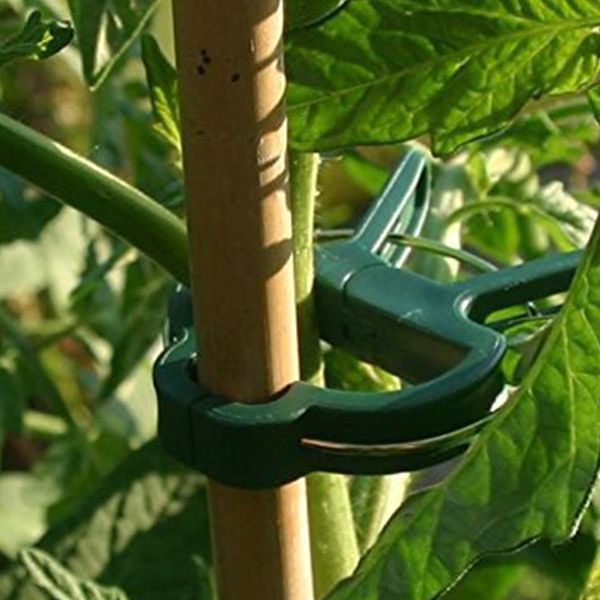 

60 pcs. green plant clips plant clamps perfect for protection supported