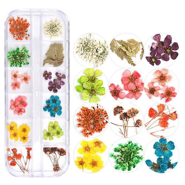 Schöne 12 Farben Nail Art Trockenblumendekoration 24 Nägel Trockenblumen Stern Sonne kleines Gänseblümchen gemischte Stile DIY KOSTENLOSES Schiff 20