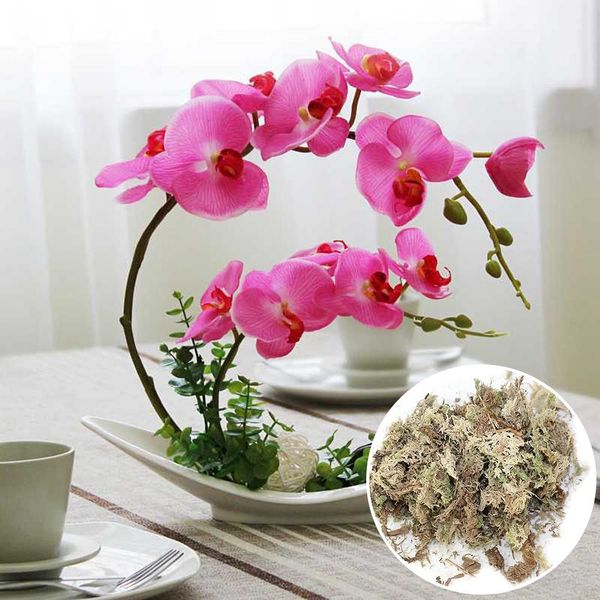 

eco-friendly rockwool water moss dry moss phalaenopsis orchids 12l soilless cultivation planting compress base garden decorations