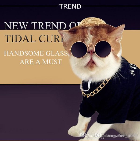 gafas de sol para gatos