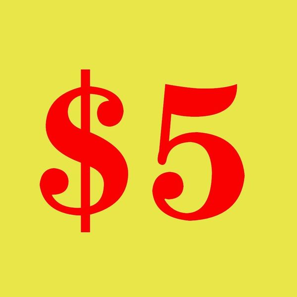 

special link extra fee $5 custom make fee pay for original order