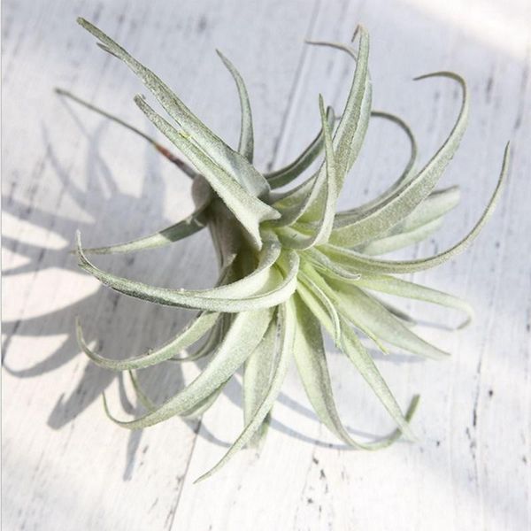 

artificial pineapple grass air plants fake flowers as home wall decoration decorative flowers grass home decor