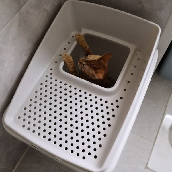 

fully enclosed deodorizing super large cat toilet with in cat sandbox