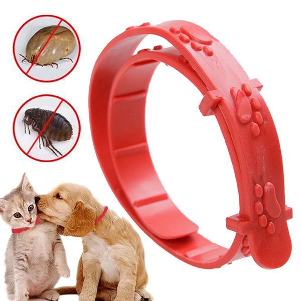 Acheter Chaîne De Mode Chat Chien Remède Anti Collier Anti Puces Nouveau Collier De La Courroie De Cou Collier Tique Collier Pour Animaux De Compagnie