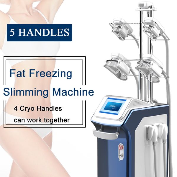 

fat e cryolipolysis machine weight loss vacuum slimming therapy womens body shapers 2500w beauty equipment