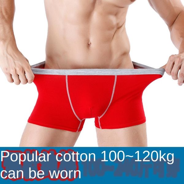 

plus fertilizer plus solid color men's pure cotton shorts boxer underwear shorts and underwear pants men's cotton, Black;white