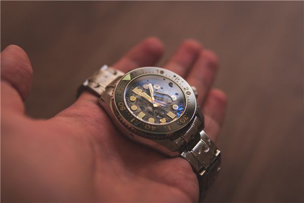 

proxima tuna diver automatic wristwatch marinemaster 316l meteorite dial, Slivery;brown