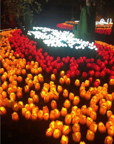 

светодиодные тюльпан сад свет украшения сада plug light открытый водонепроницаемый моделирование газон пейзаж свет dhl доставка xd22676