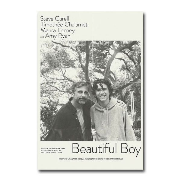 

beautiful boy movie wall sticker silk poster art light canvas home decoration