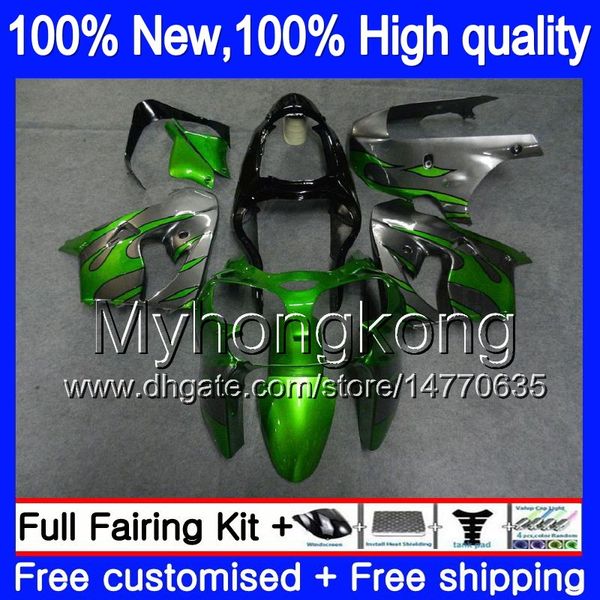 Karosserie für KAWASAKI ZX-9R ZX900CC ZX 9R 9 R 900 2000 2001 2002 2003 216MY.21 Graue Flammen ZX900 ZX9 R 900CC ZX9R 00 01 02 03 Vollverkleidung