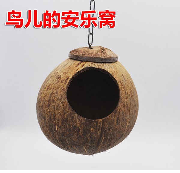 

tiger skin straw plaited article reproduction small the bird's nest parrot articles