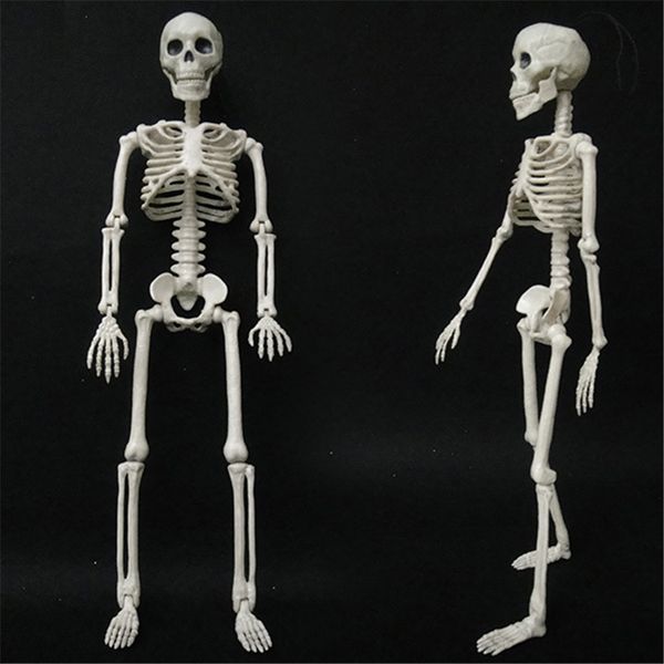 

ужасы хэллоуин украшения гибкая анатомия человека костный скелет модель медицинские учебное пособие анатомия искусство эскиз праздничные атр