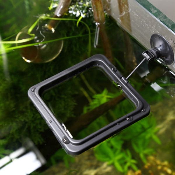 

feeding ring aquarium fish tank station floating food tary feeder other aquarium fish