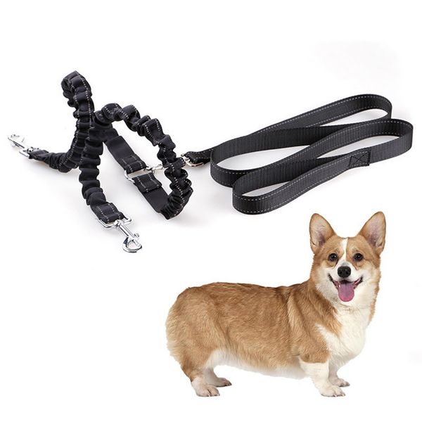 

double-head dog lead leash soft nylon retractable dog collars for two dogs outdoor leash rope adjustabl running leashes