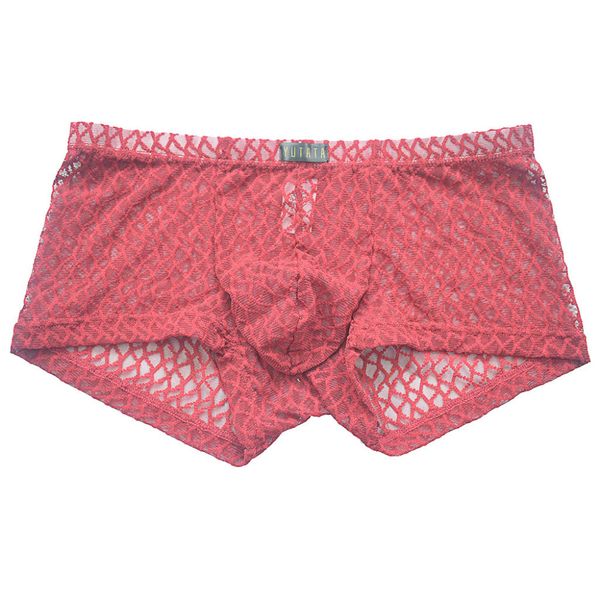 

2019 men's trousers stretch pants transparent lace swimming trunks shorts breathable swimming pants for men underwear boxer 40j9
