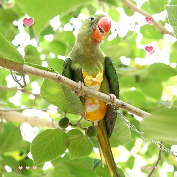 

adeeing pet пеленки для средних большого размера попугаев