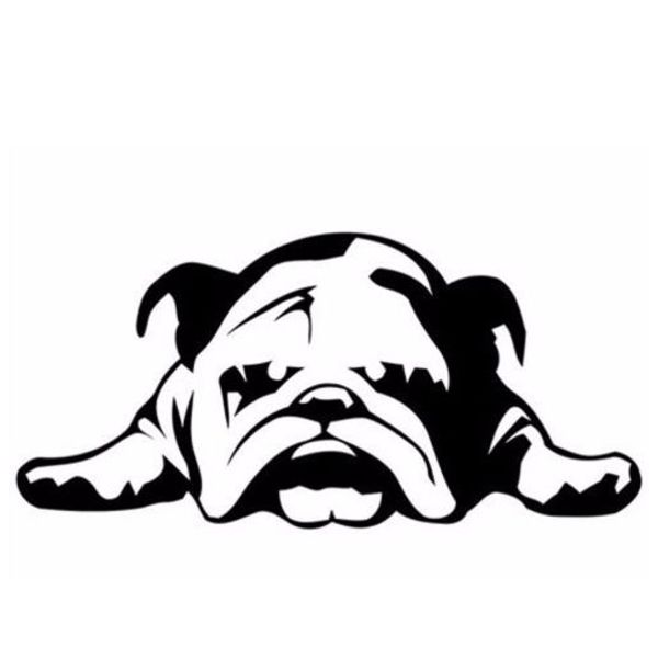 

авомобилне наклейки енок еѬной водонепѬониаемой нового декал мода лино