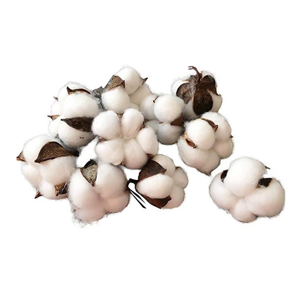 

promotion 30 pack natural cotton bolls (balls) for wreaths, decor, off stick branches wired raw look white cotton branch picks
