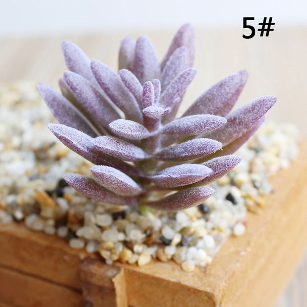 

artificial plastic miniature succulent plant cactus echeveria flower home dec f2