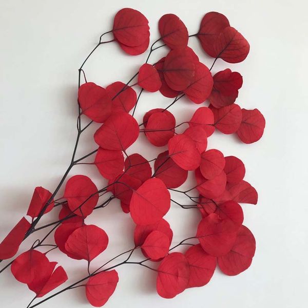 

decorative flowers & wreaths real dried natural fresh forever eucalyptus branches,preserved round leaves flowers,apple eucalyptus,diy home d