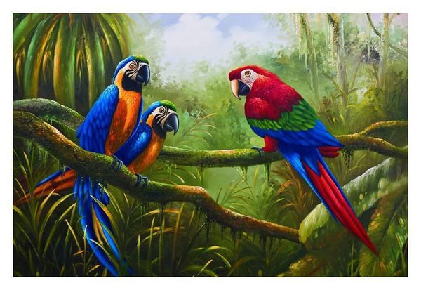 

wholesale handcrafts art oil painting on canvas animals the beautiful parrot multi szies