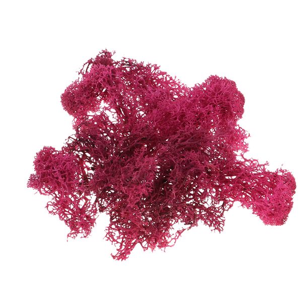 

500ml model sand table grass vegetation for simulation scenery