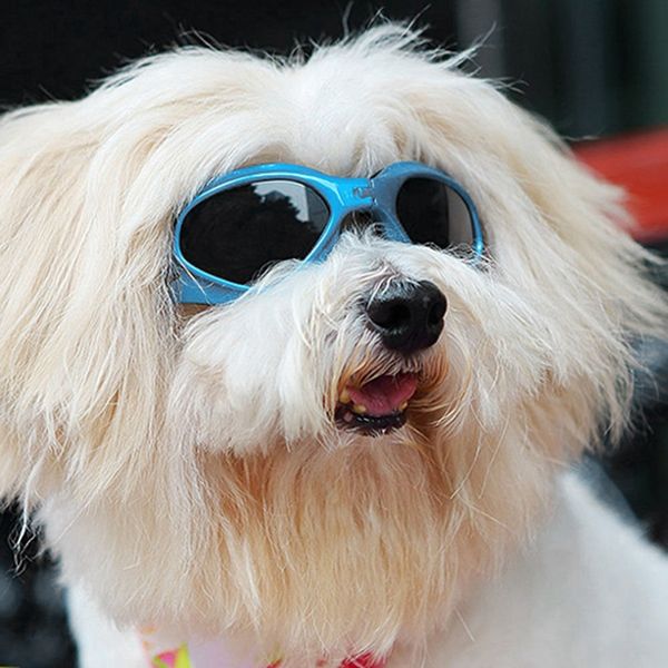 

tylish and fun pet/dog puppy uv goggles sunglasses waterproof protection sun glasses for dog