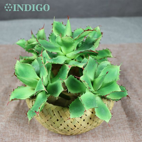 

indigo- wholesale 120 pcs star cactus aloe echeveria elegance artificial succulent plant plastic background ing