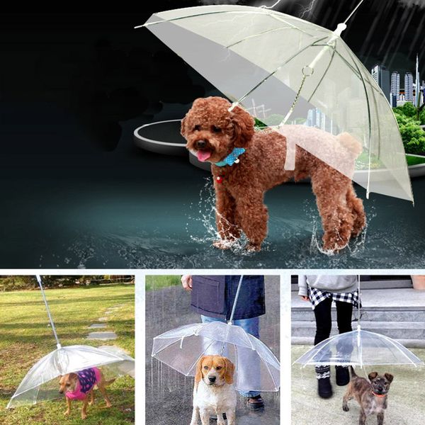 

transparent pe pet umbrella small dog puppy umbrella rain gear with dog leads keeps pet travel outdoors supplies dhl xd20457