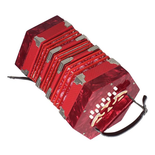 

concertina accordion 20-button 40-reed anglo style with carrying bag