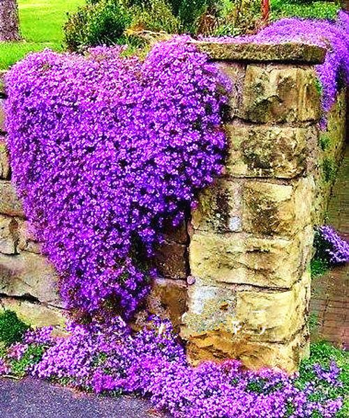 

Decorações de Jardim ymhqw