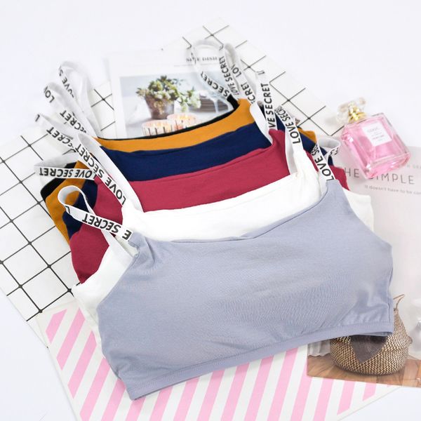 

спорт белье женщина не собирается не стального кольцом белья бюстгальтер трубка верхней завернутый груди красоты спина тонкого раздел, Blue;purple