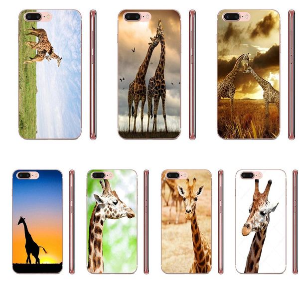 

чехол для телефона милые животные fundas жирафы galaxy alpha note 10 pro a10 a20 a20e a30 a40 a50 a60 a70 a80 a90 m10 m20 m30 m40 мягкие сот