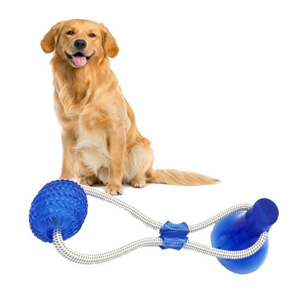 

suction cup dog biting toy dog chew toys interactive pet chew toys for dogs play funny training