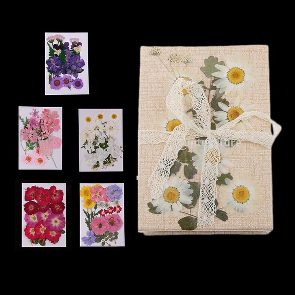 

5pcs multiple real pressed dried flowers dry leaves diy scrapbooking arts crafts