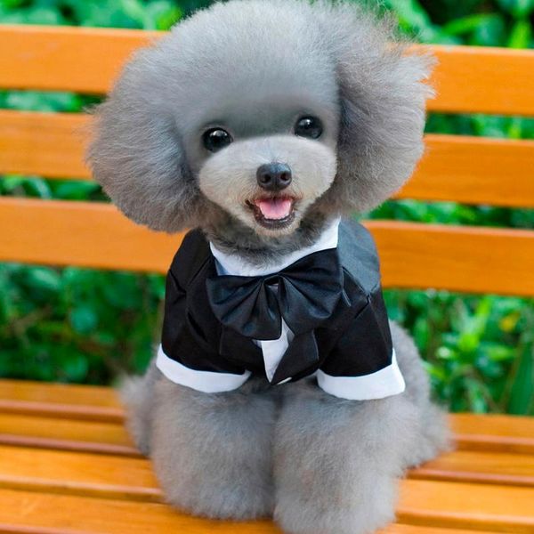 

джентльмен мода одежда для домашних животных собака костюм галстук свадебное вечернее платье для собак костюм дышащая рубашка щенок кошки до