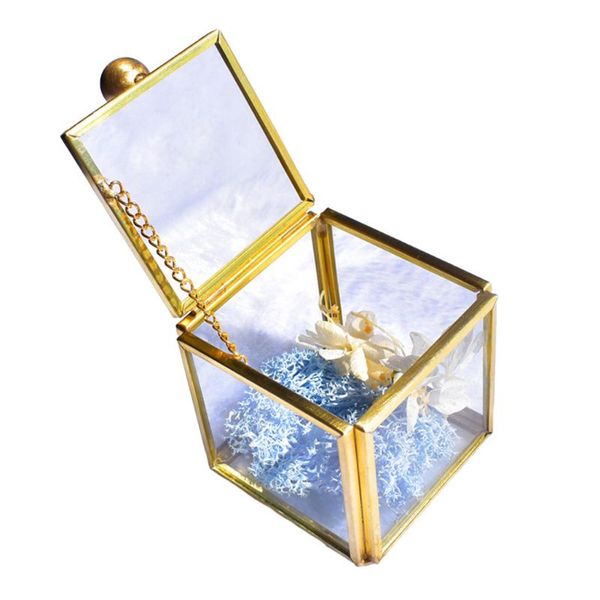 

geometrical clear glass jewelry box jewelry organize holder plants container, Pink;blue