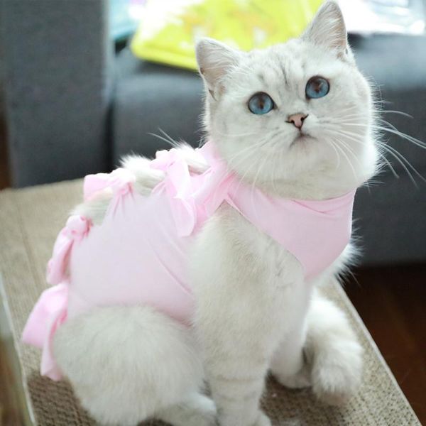 

pet sweet clothing halloween costume cat animal clothes hoodie jacket cat spring autumn solid color costumes