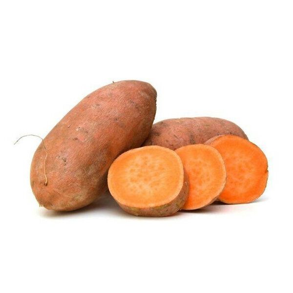 

tatli patates tohumu other garden supplies